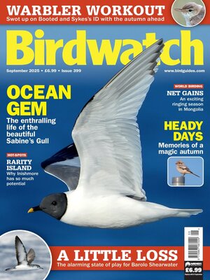 cover image of Birdwatch